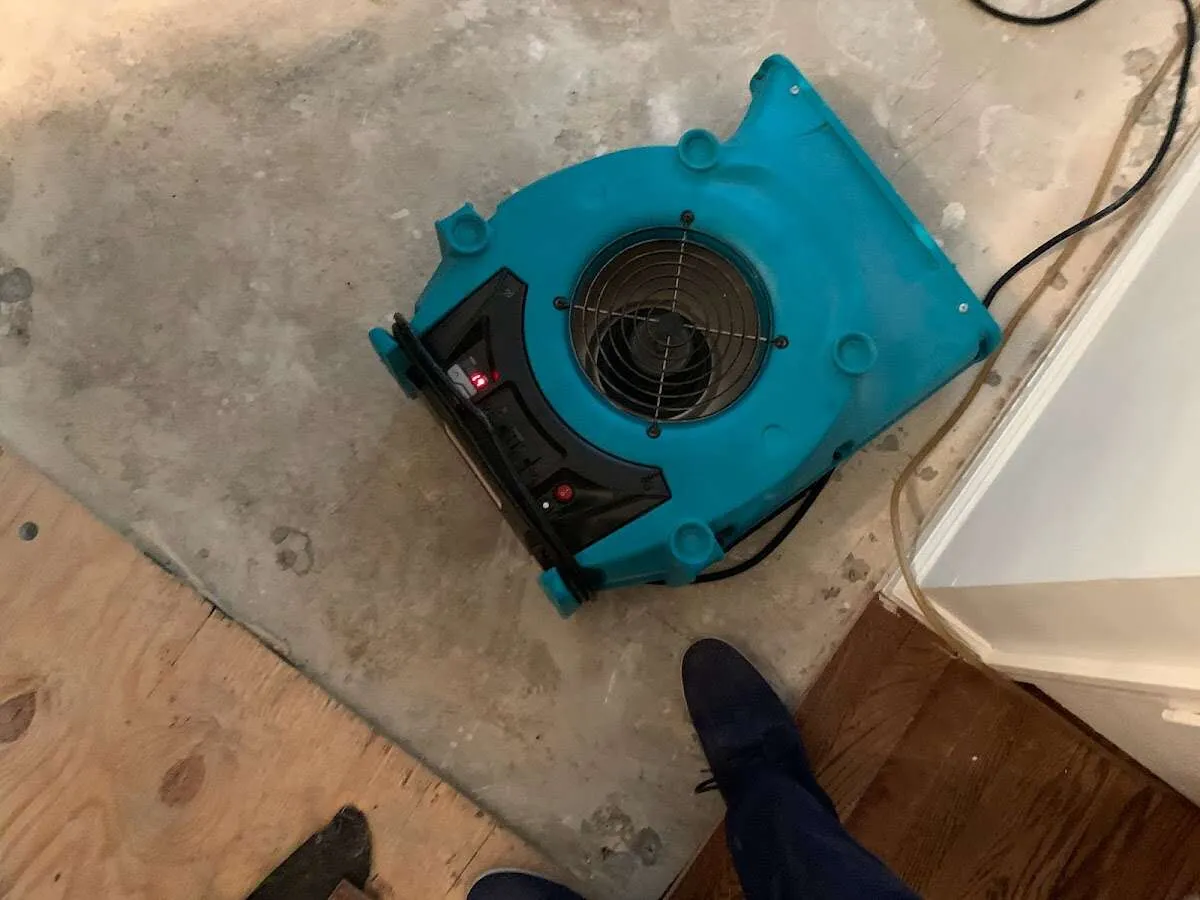 Air mover drying subfloor during Leak Detection & Repair in Bellmead
